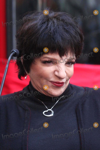 Photos and Pictures - Liza Minnelli Honored in Gray Line New York's ...