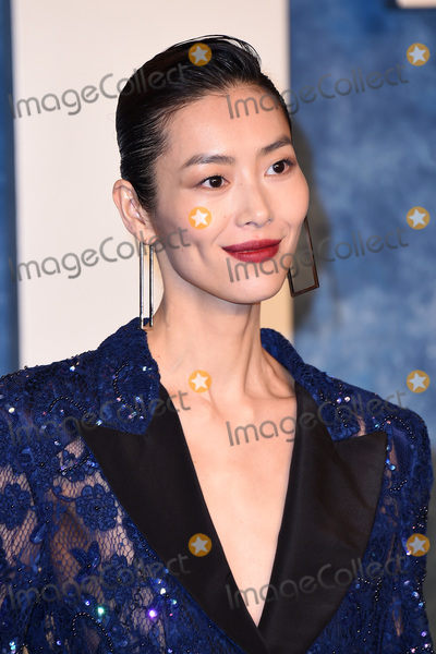 Photos and Pictures - LOS ANGELES - MAR 12: Liu Wen at the 2023 Vanity ...